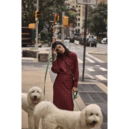 Chemise Léonor damier bordeaux une grave pollution 