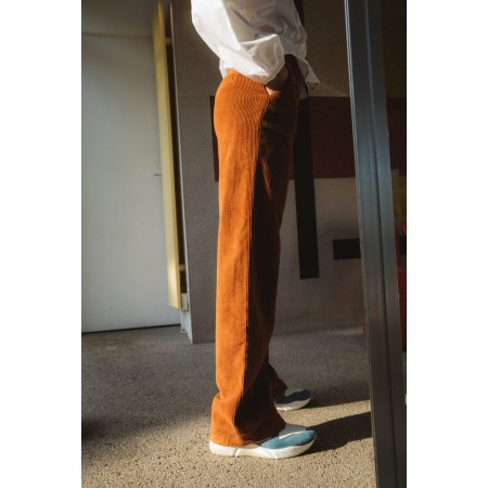 Diego rust velvet trousers commande en ligne