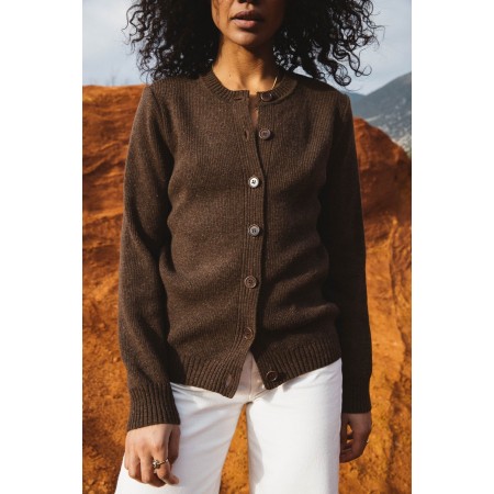 Fergoza brown cardigan in merino wool l'achat 