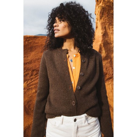 Fergoza brown cardigan in merino wool l'achat 