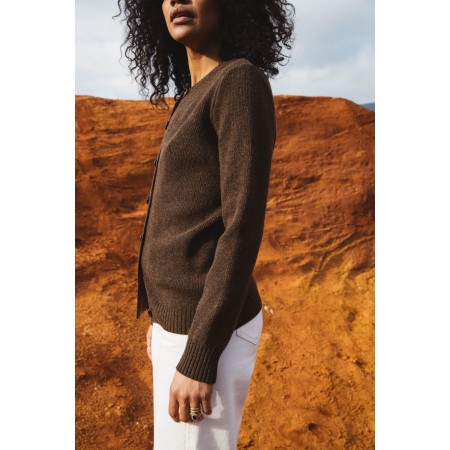 Fergoza brown cardigan in merino wool l'achat 