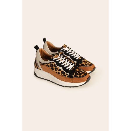 Leopard maximilien sneakers destockage