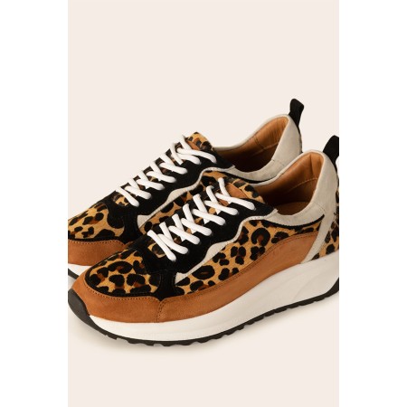 Leopard maximilien sneakers destockage