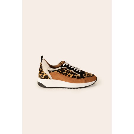 Leopard maximilien sneakers destockage