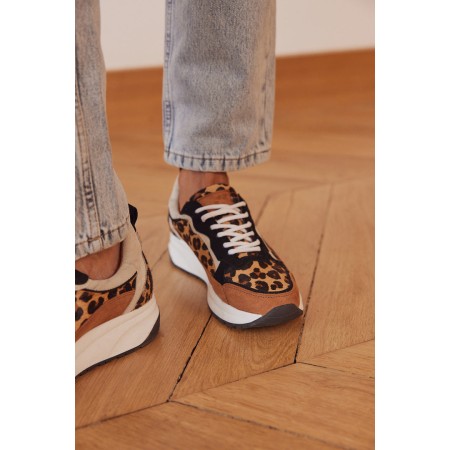 Leopard maximilien sneakers destockage