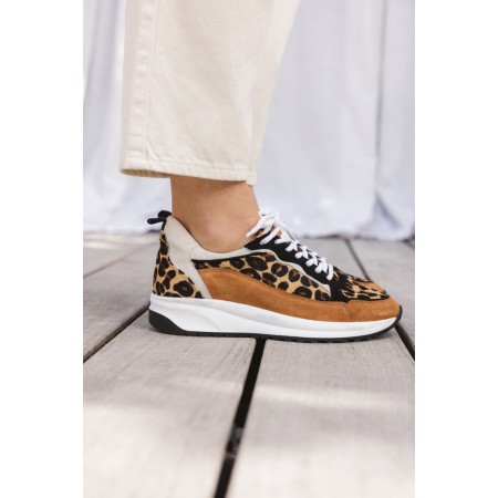 Leopard maximilien sneakers destockage