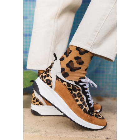 Leopard maximilien sneakers destockage