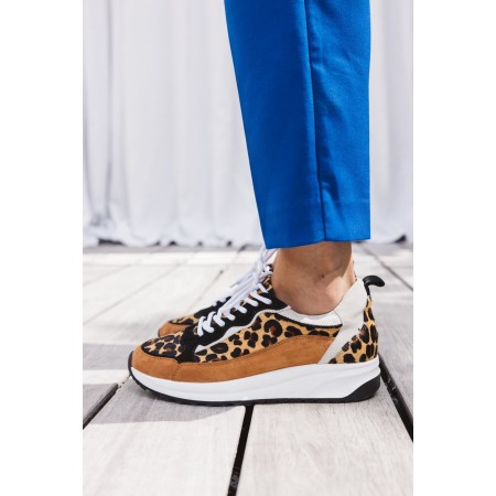 Leopard maximilien sneakers destockage