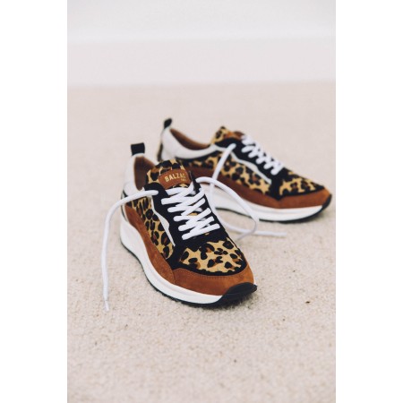 Leopard maximilien sneakers destockage