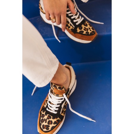 Leopard maximilien sneakers destockage