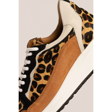 Leopard maximilien sneakers destockage