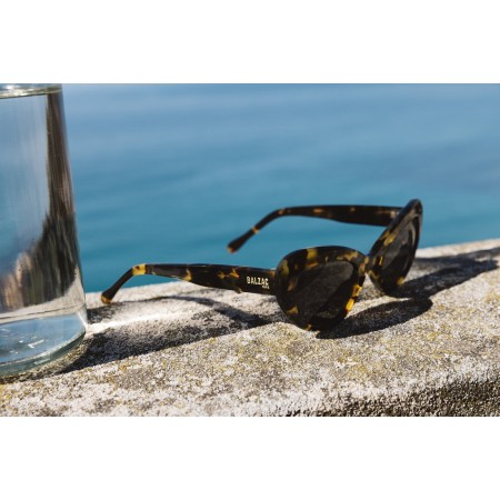 Black tortoise charlotte sunglasses Pour